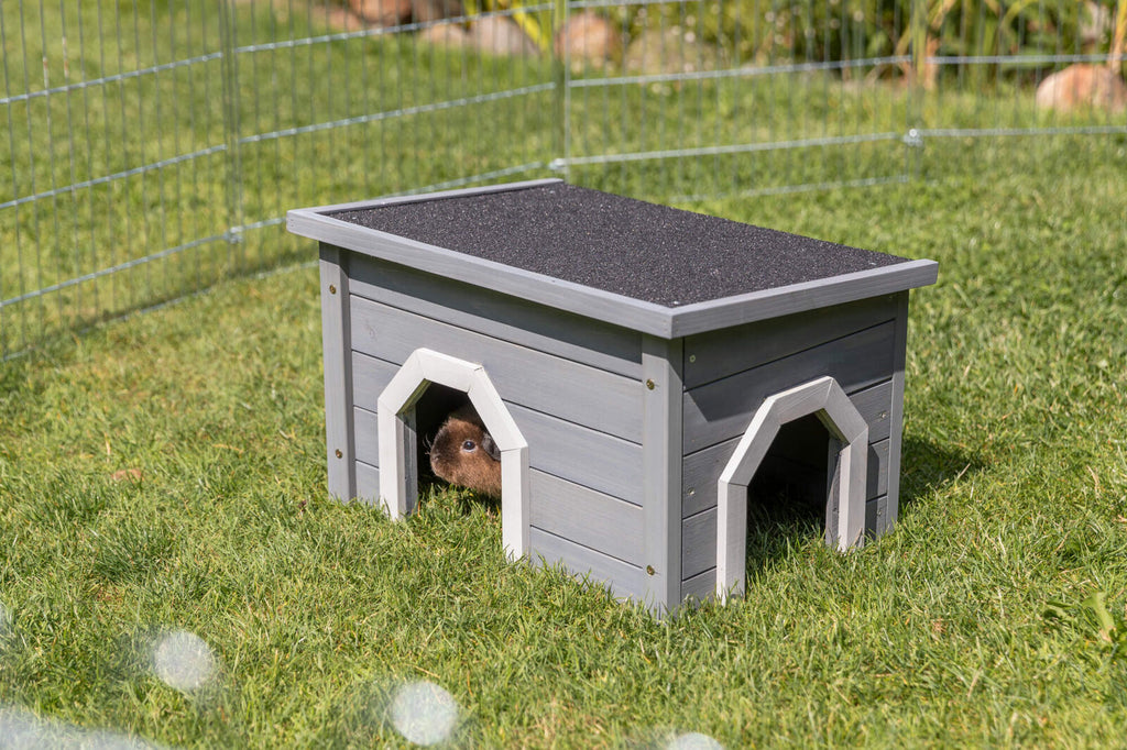 Casa de Pequeños Animales