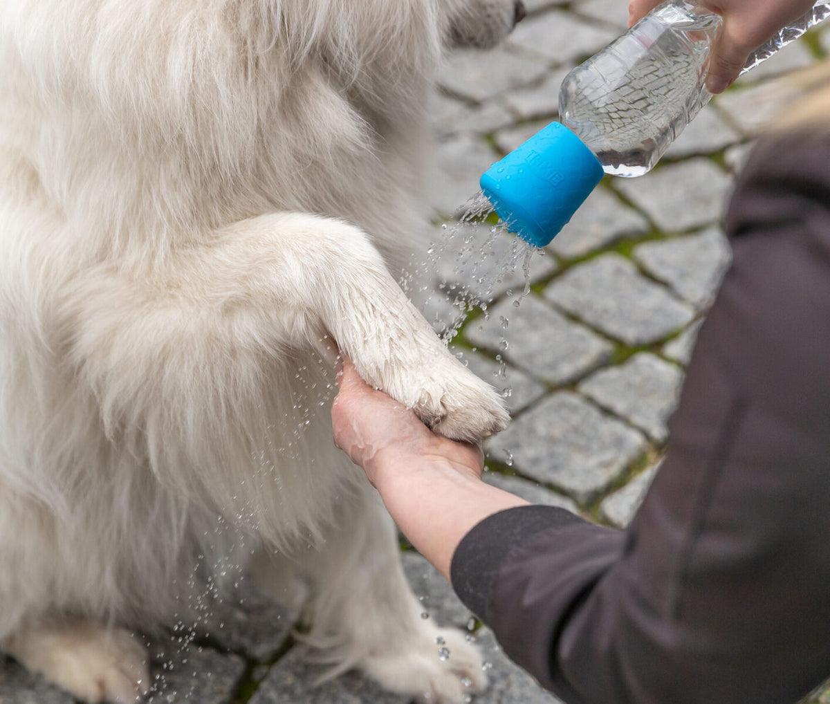 Ducha móvil para perros