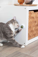 Pelota Catnip con soporte