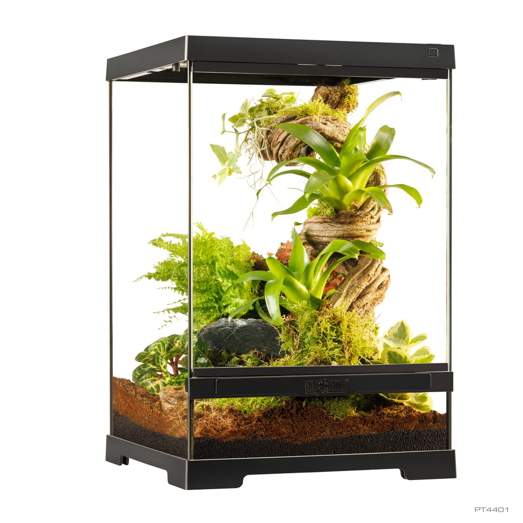 Pro Terrarium de Cristal Exo Terra XS 30x30cm