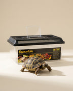 Tortuga junto al Exo Terra Faunarium XL con la tapa abierta