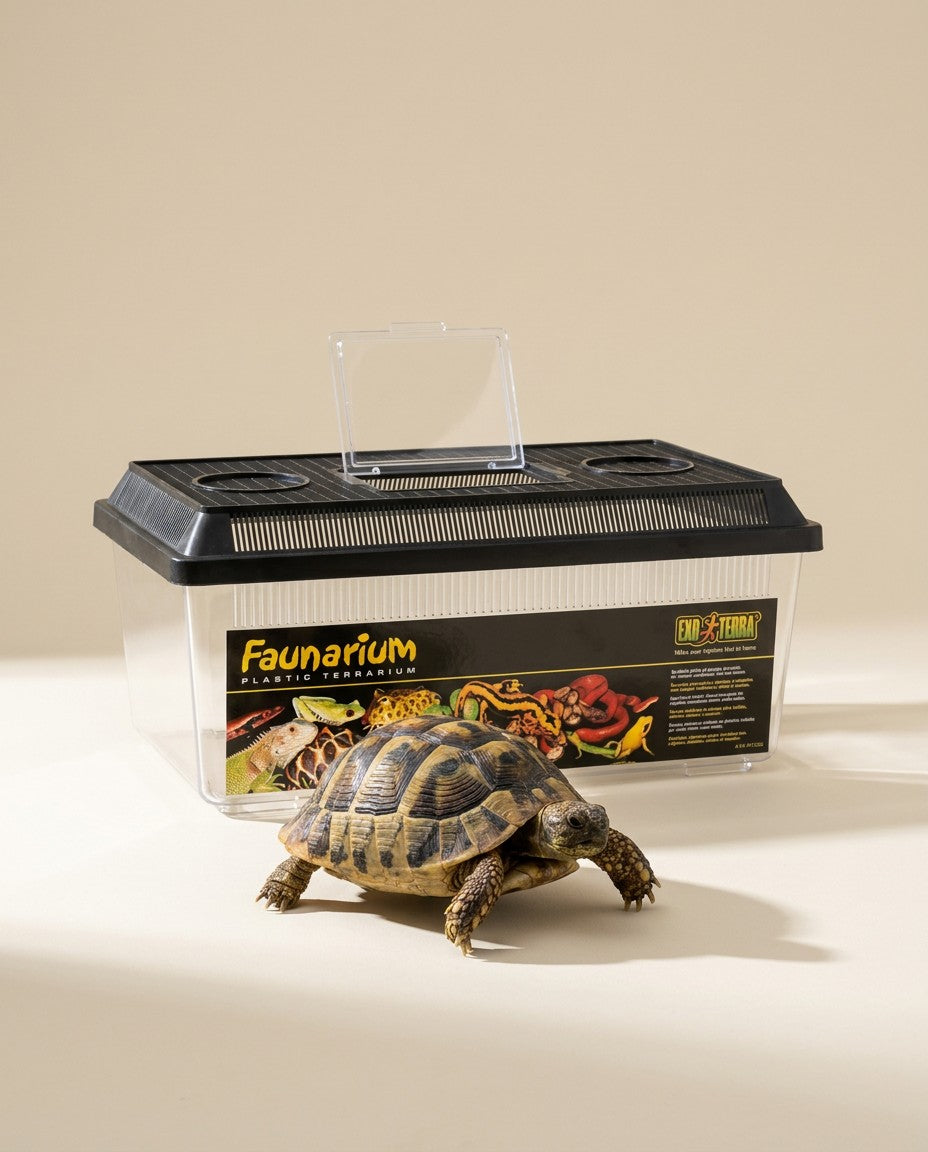 Tortuga junto al Exo Terra Faunarium XL con la tapa abierta
