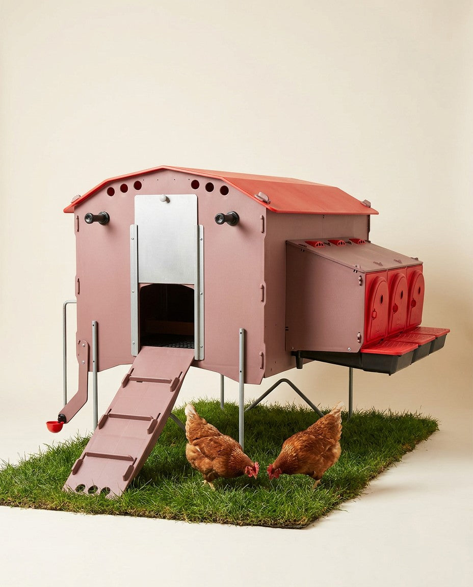 Gallinero móvil Red Roof sobre césped con dos gallinas sueltas