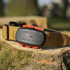 Dogtrace GPS Ultra