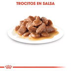 Royal Canin Salsa Urinary Care 12x85g