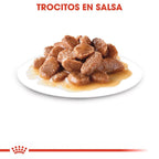 Royal Canin Hairball Care en salsa 12x85g