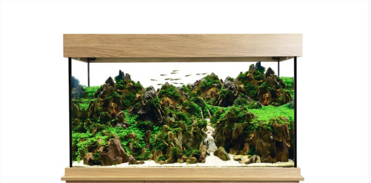 Set Fluval Shaker Acuario 345 l + Mesa