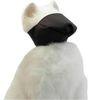Bozal de nylon para gatos