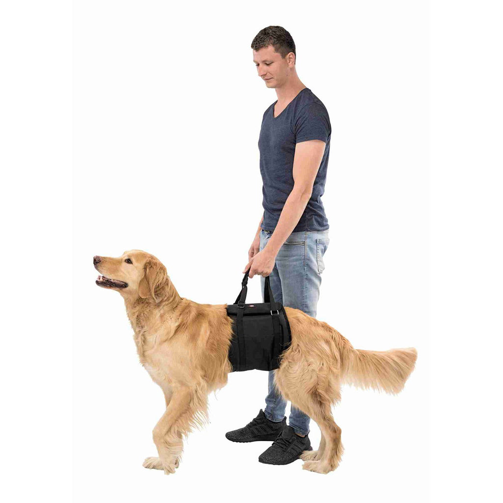 Elevador para perros