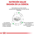 Royal Canin Diet Feline Diabetic Pienso Para Gatos