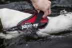 Arnés Julius k-9 IDC Powair Rojo