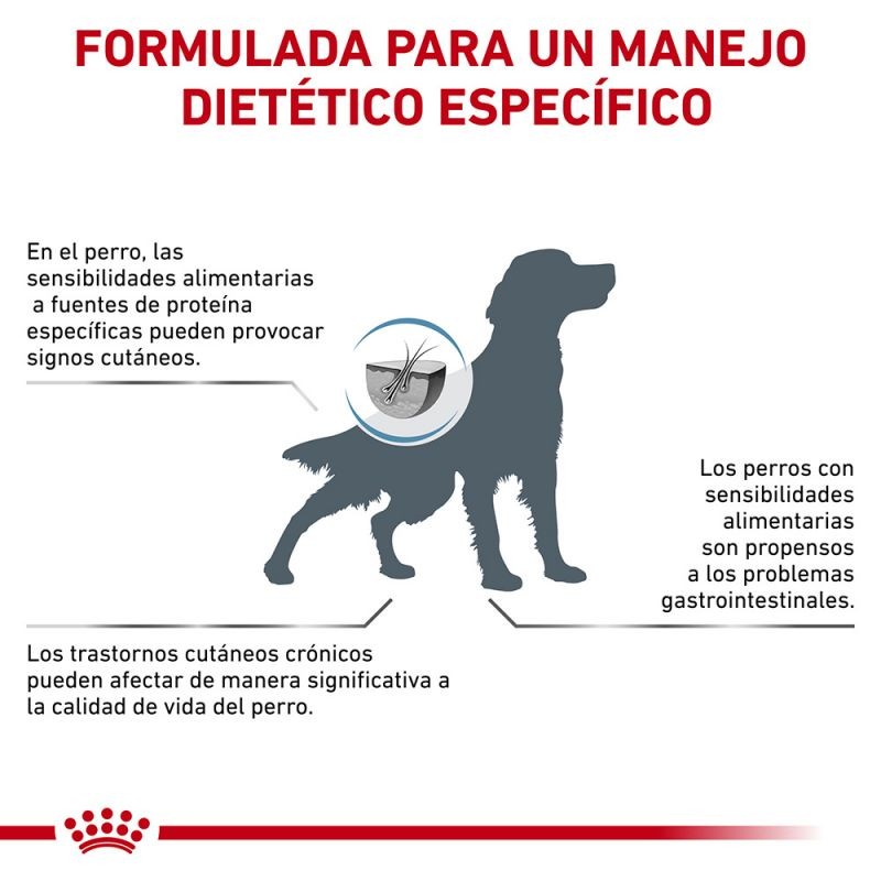Royal Canin Diet Canine Hypoallergenic Pienso Para Perros