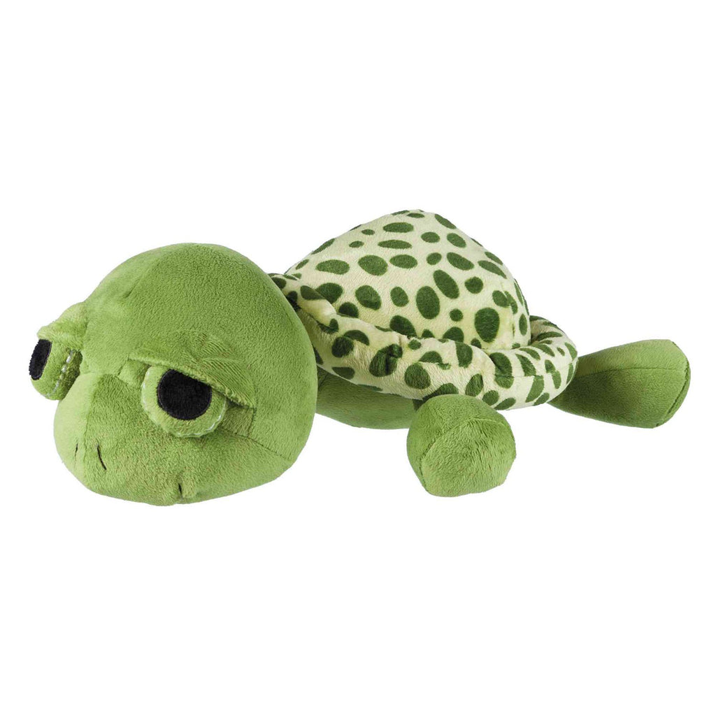 Tortuga
