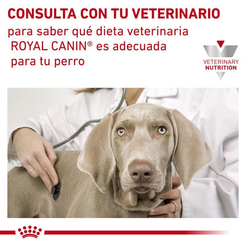 Royal Canin Diet Anallergenic Pienso para Perros
