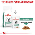 Royal Canin Diet Feline Diabetic Pienso Para Gatos