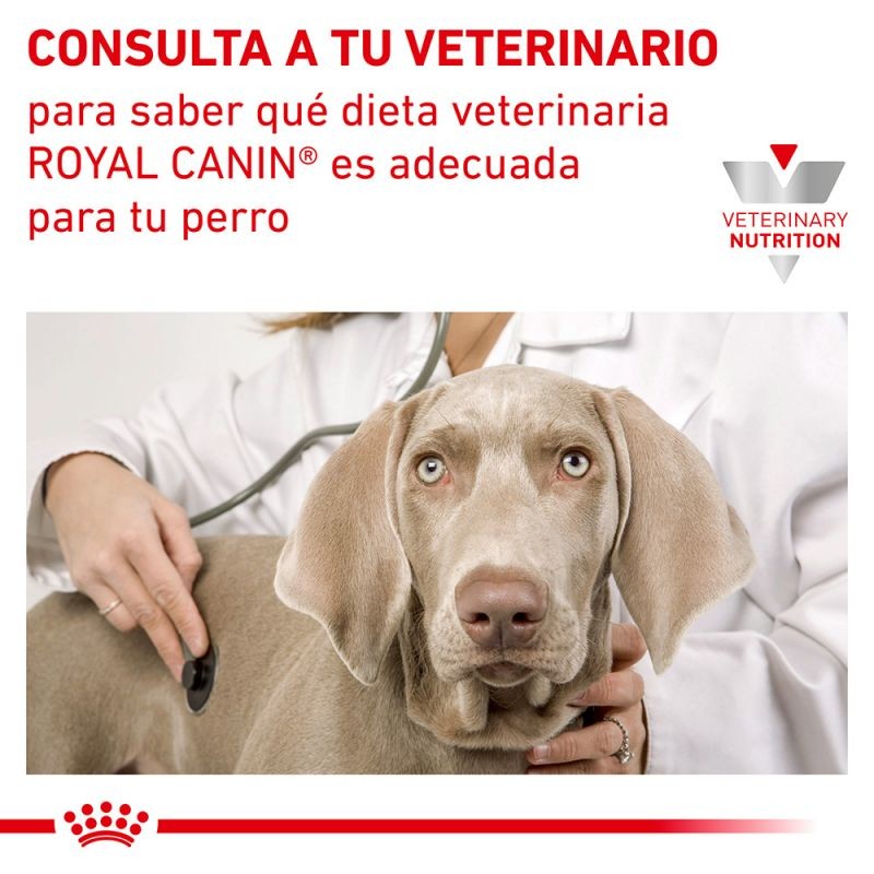 Royal Canin Diet Canine Gastro Intestinal High Fibre pienso para perros