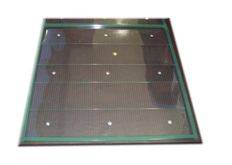 PANEL PVC  TRANSPARENTE VOLADERO PAJARO