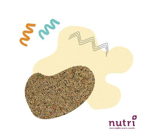 Nutri+ Aves Mixtura Periquito y Exóticos