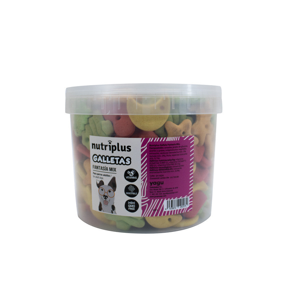 NUTRIPLUS GALLETA FANTASIA MIX