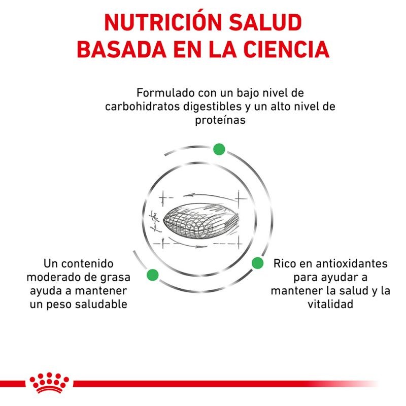 Royal Canin Veterinary Canine Diabetic Pienso Para Perros