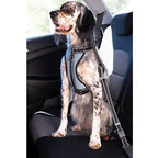 Arnés coche con cinturón seguridad Ibáñez Dogway