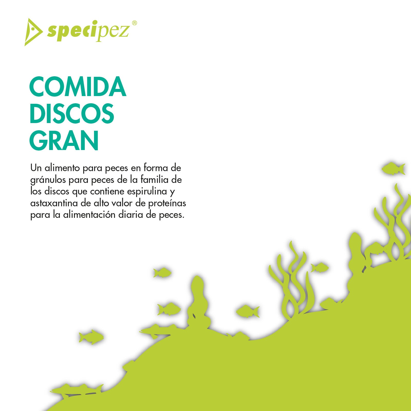 SPECIPEZ COMIDA DISCOS