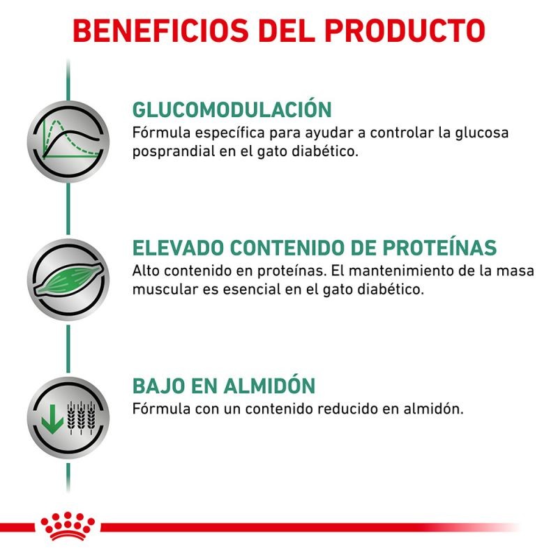 Royal Canin Diet Feline Diabetic Pienso Para Gatos