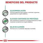Royal Canin Diet Feline Diabetic 12x85g