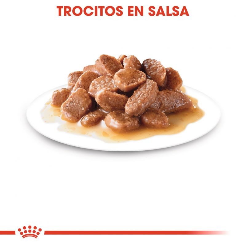 Royal Canin Digest Sensitive Gravy Salsa