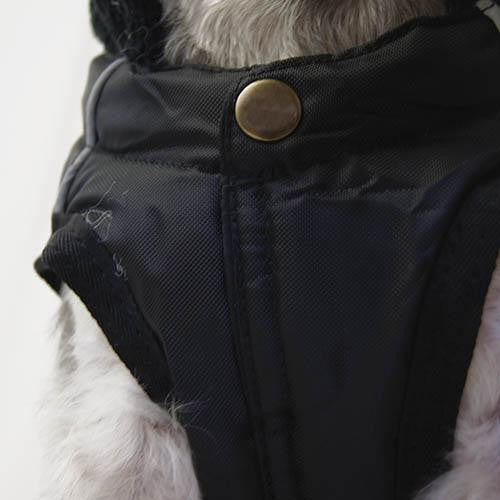 Abrigo para perros Trek Breathe Comfort-Celeste