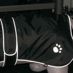 Capa Orléans para Perro