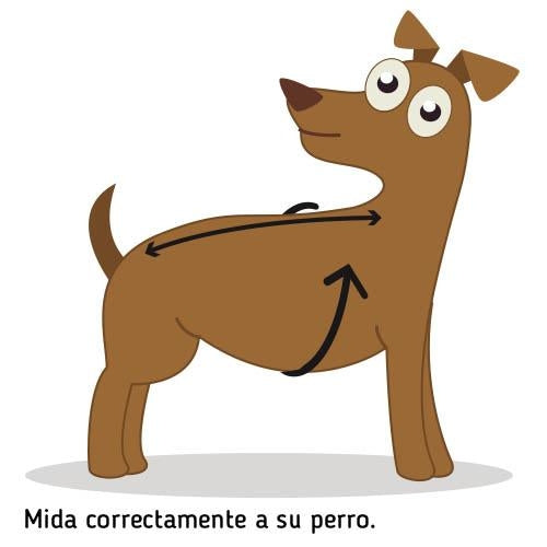 Abrigo para perros Trek Breathe Comfort-Celeste