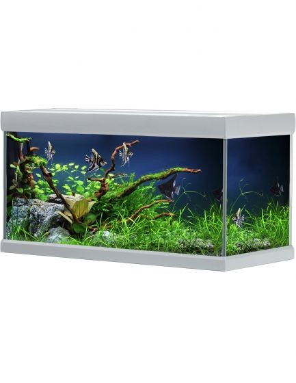 Acuario + Mueble FUSION