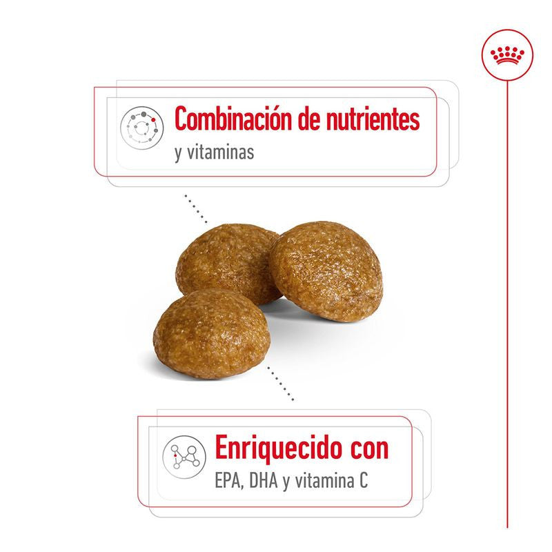 Royal Canin X-Small Adult 3 kg
