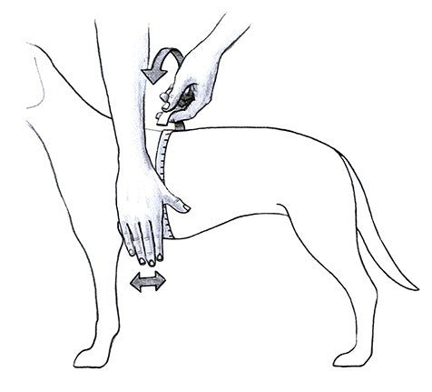 Arnés Julius K9  Neón