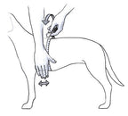 Arnés Julius K9  Neón