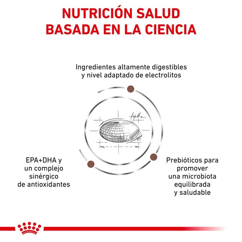 Royal Canin Diet Canine Gastro Intestinal High Fibre pienso para perros